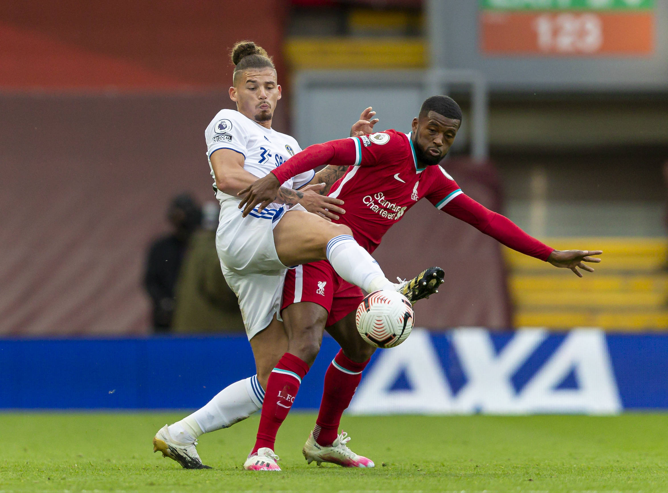 我们不仅感 我们不仅感