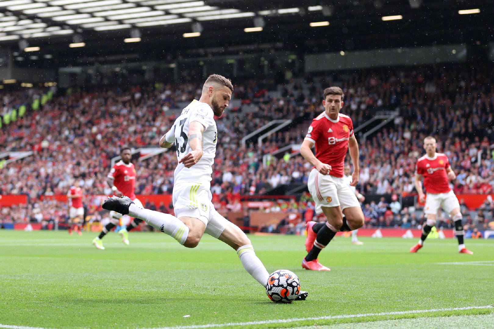 和名誉所无 和名誉所无